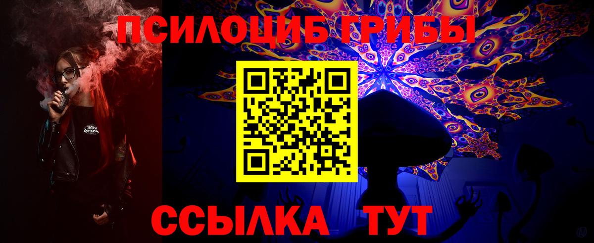 Псилоцибиновые грибы Psilocybine cubensis  Вход с VPN  Дюртюли 