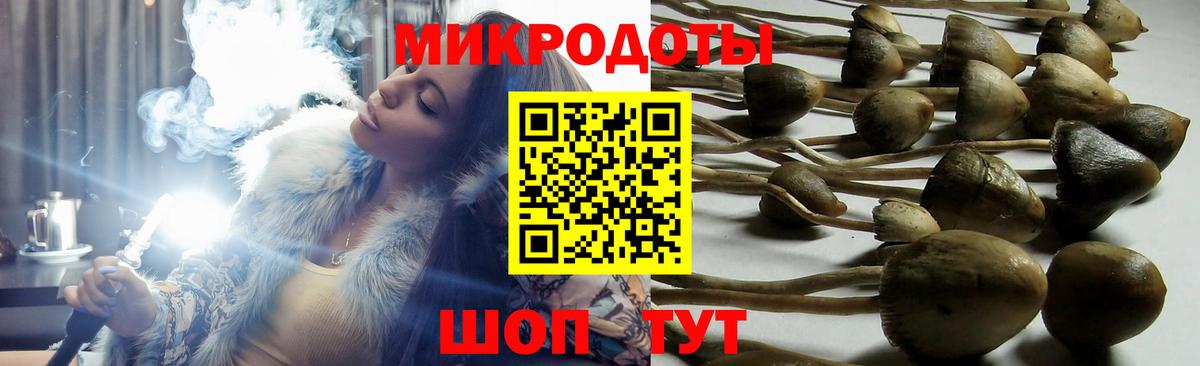Псилоцибиновые грибы мухоморы Дюртюли